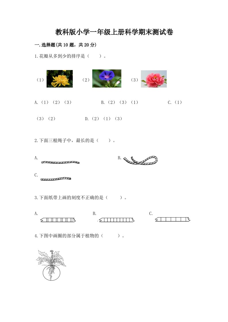 教科版小学一年级上册科学期末测试卷精品【历年真题】