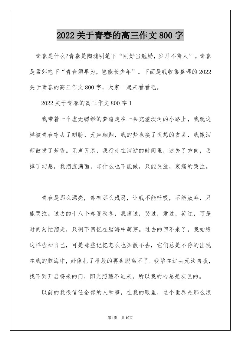 2022关于青春的高三作文800字