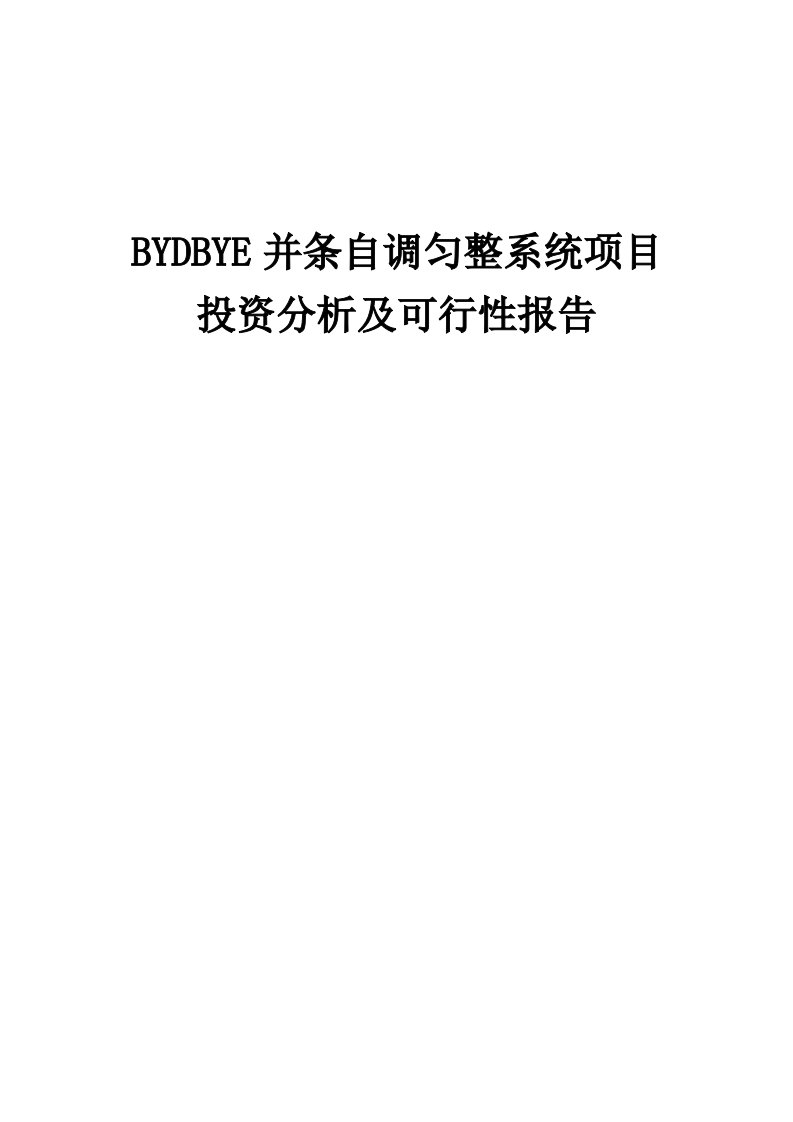 2024年BYDBYE并条自调匀整系统项目投资分析及可行性报告