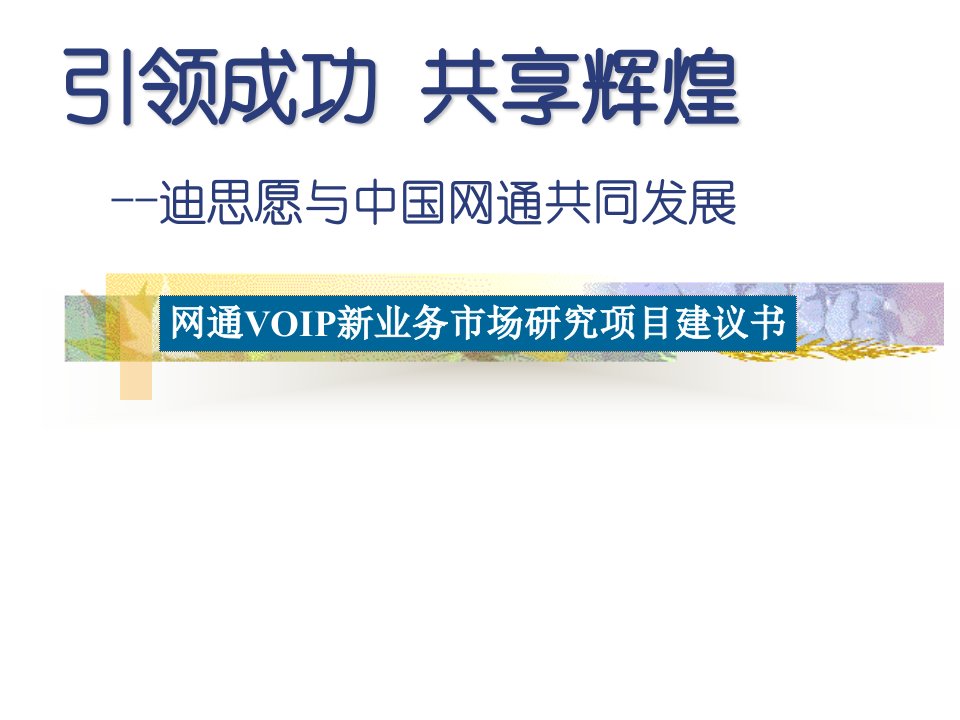 中国网通公共传播项目策划