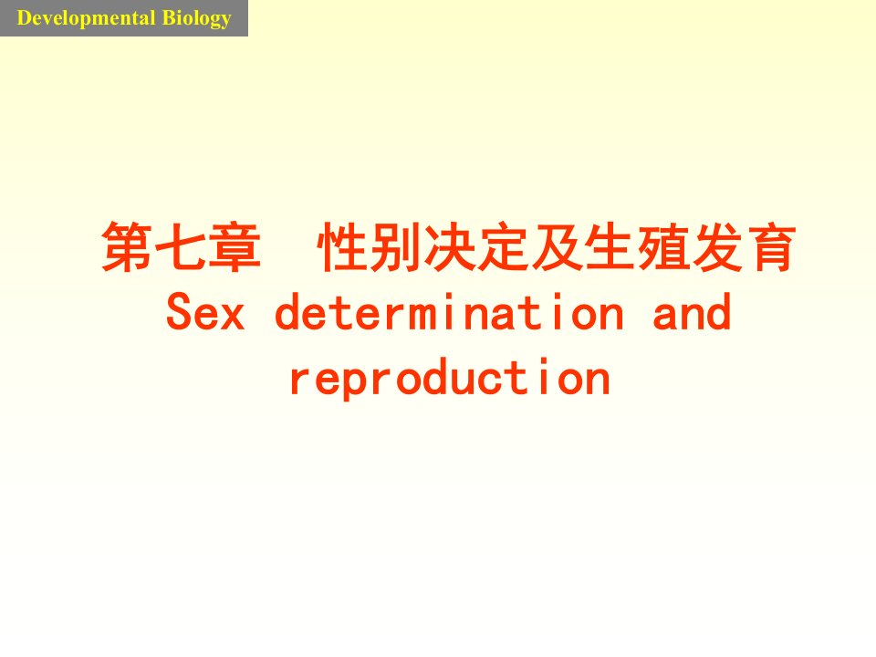 发育生物学课件7sex