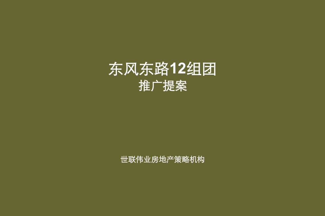 房地产项目管理-文山东风东路商业地产项目推广提案