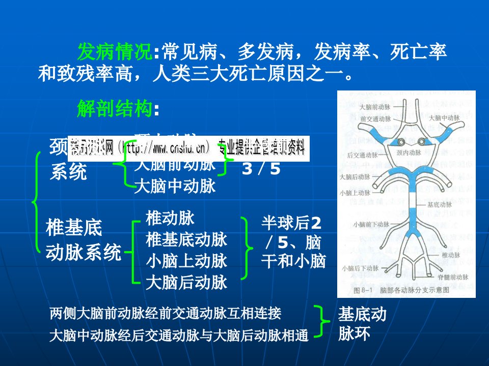 急性脑血管疾病概述