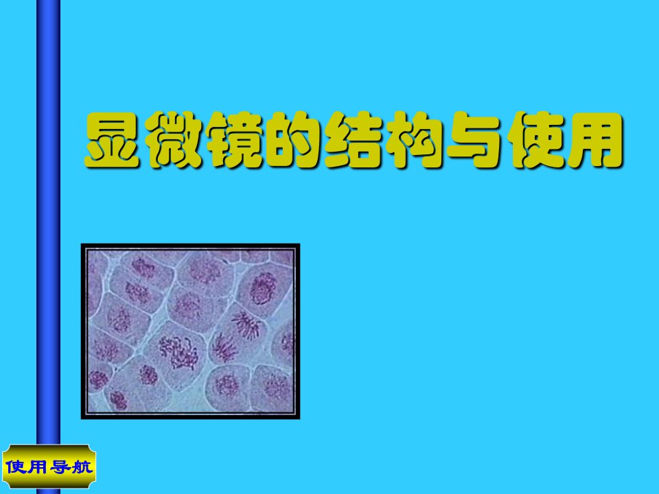 七年级生物显微镜的结构与使用课件