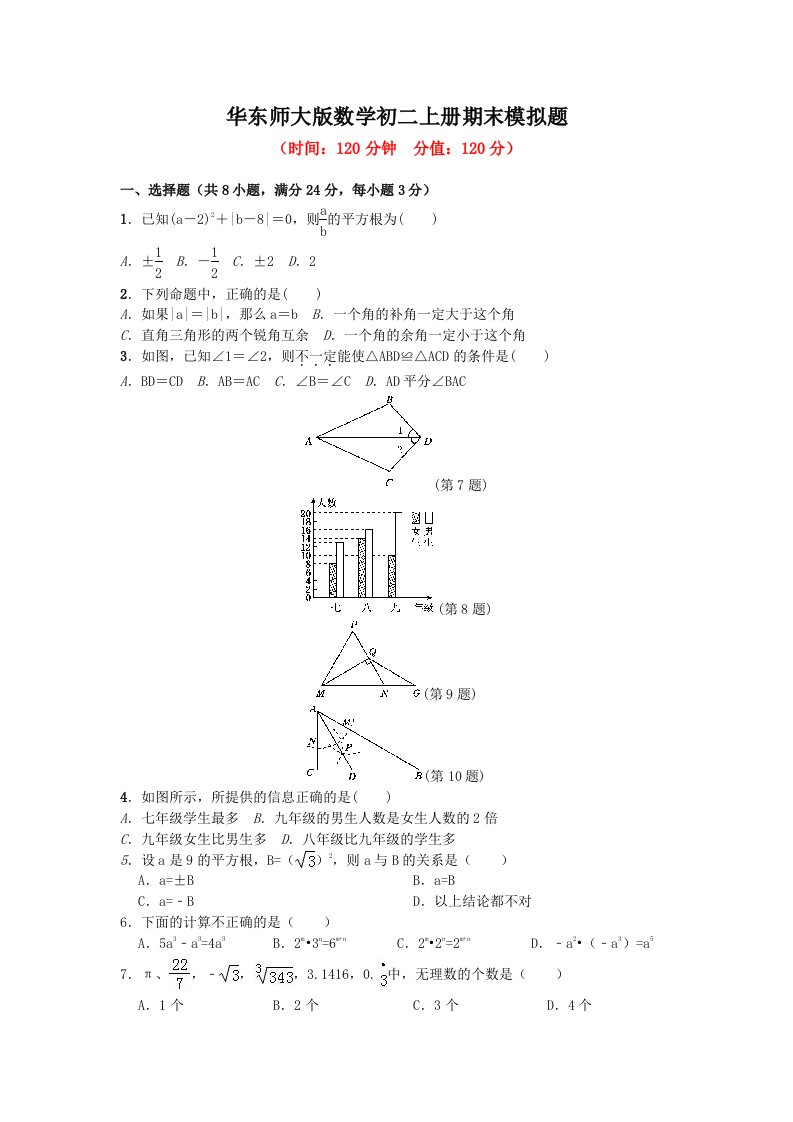 华东师大版数学初二上册期末模拟题及答案