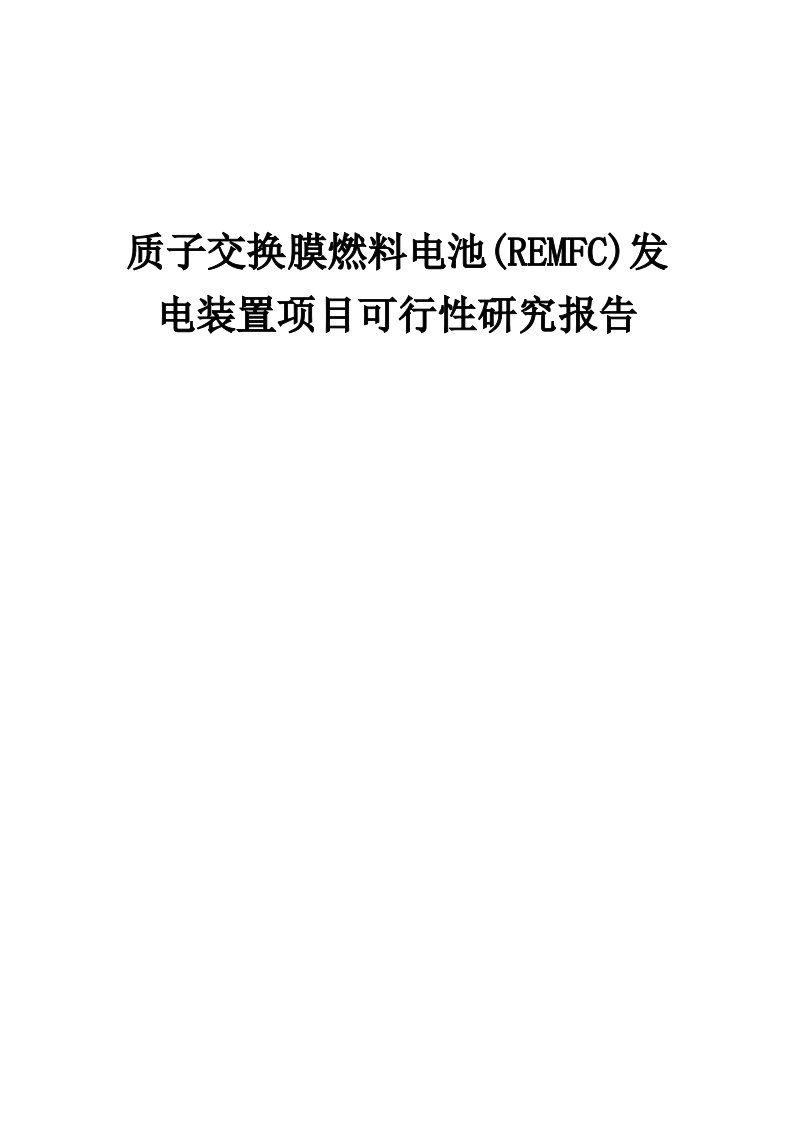 质子交换膜燃料电池(REMFC)发电装置项目可行性研究报告