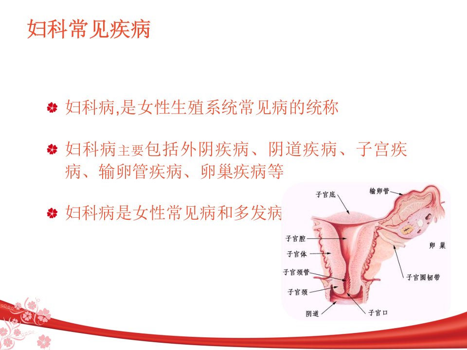 妇科常见疾病的预防和治疗课件