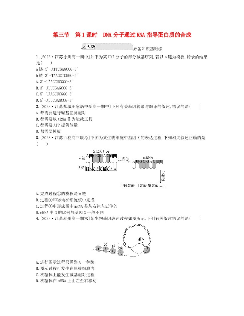 江苏专版2023_2024学年新教材高中生物第二章遗传的分子基础第三节遗传信息控制生物的性状第1课时DNA分子通过RNA指导蛋白质的合成分层作业苏教版必修2