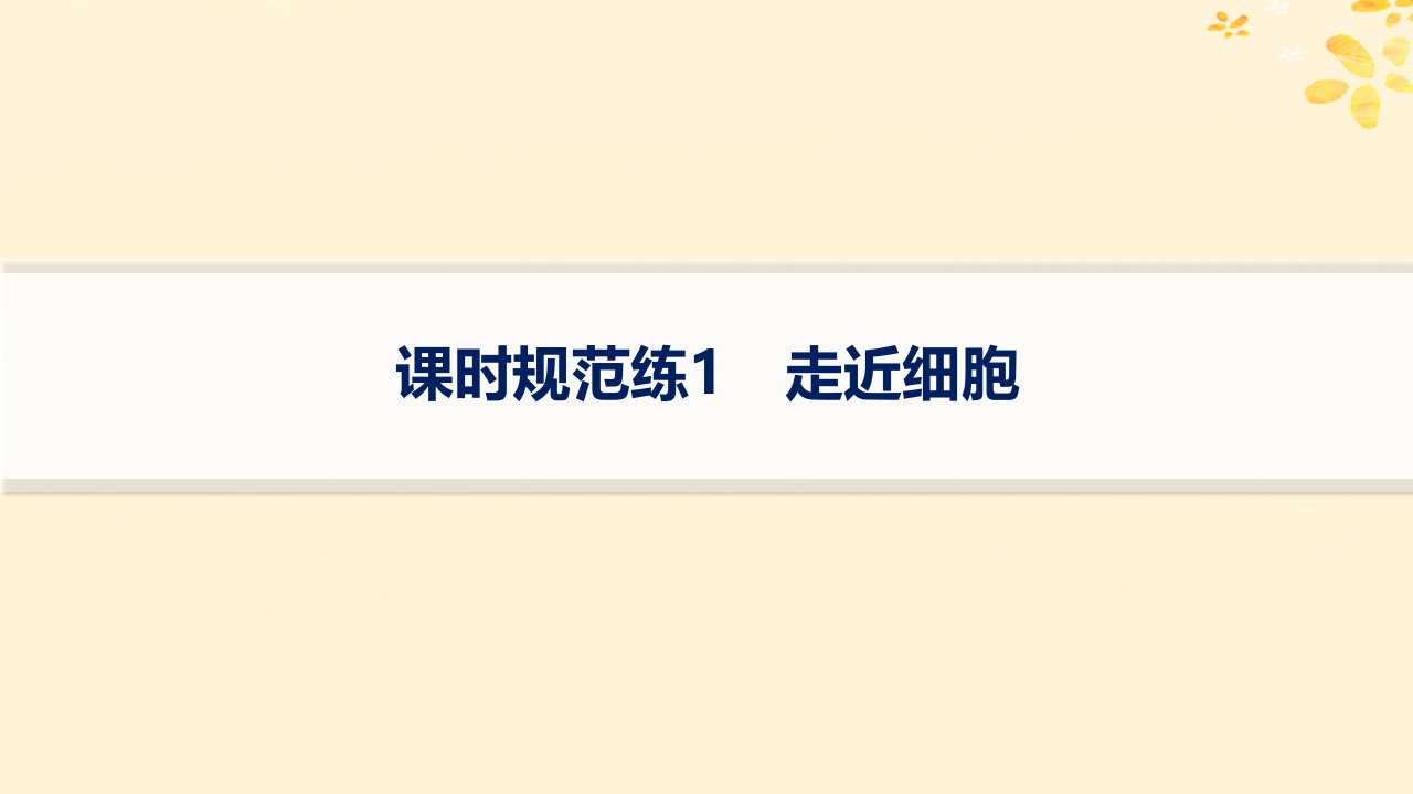 适用于新高考新教材备战2025届高考生物一轮总复习第1单元细胞的概述细胞的分子组成课时规范练1走近细胞课件