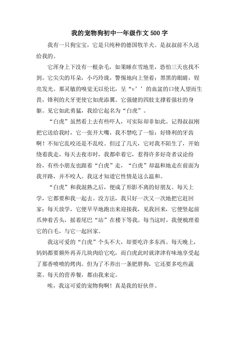 我的宠物狗初中一年级作文500字