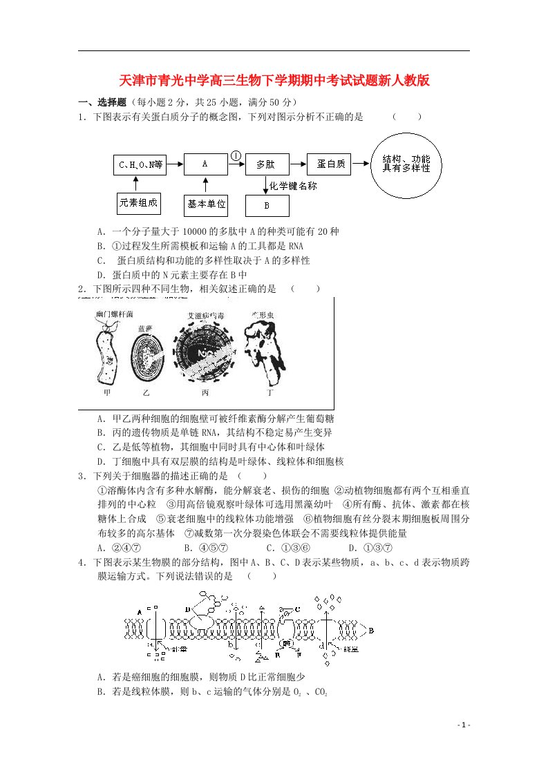 天津市青光中学高三生物下学期期中考试试题新人教版