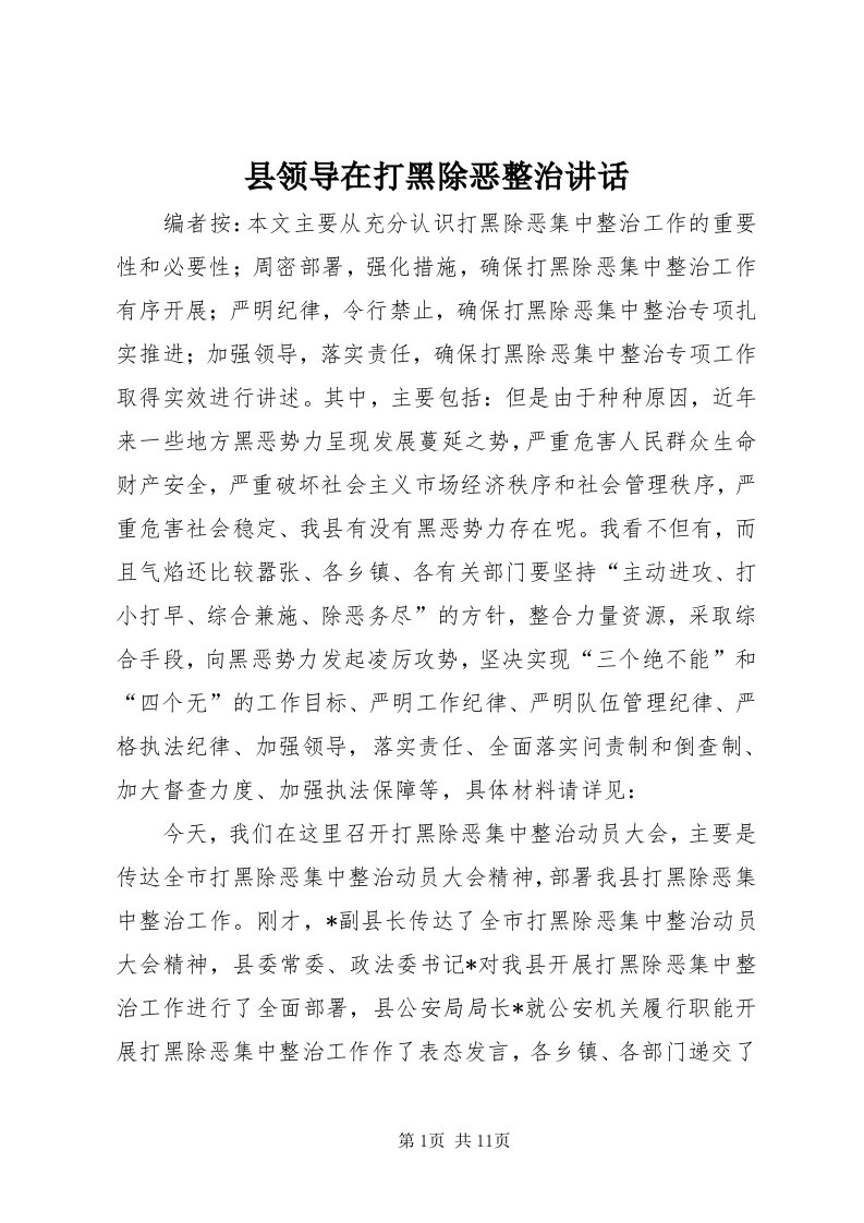 6县领导在打黑除恶整治致辞