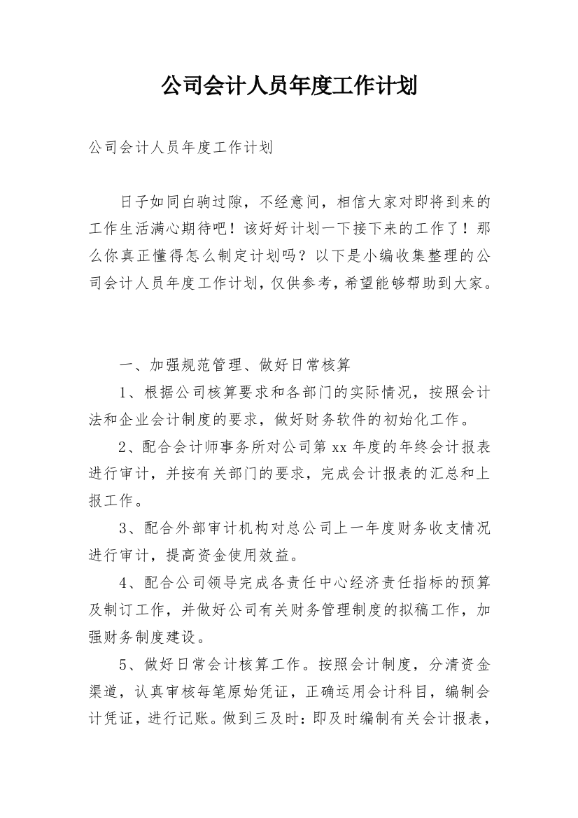 公司会计人员年度工作计划