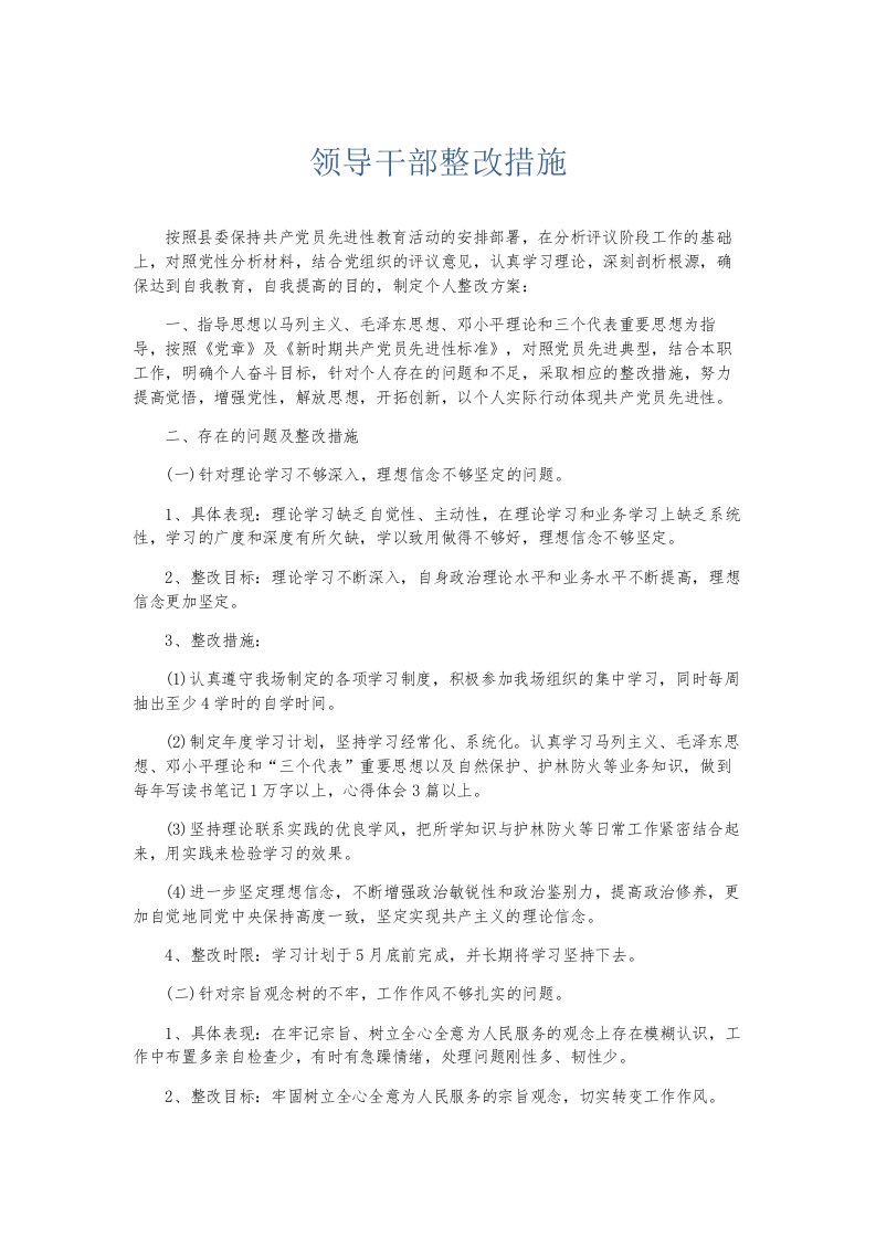 总结报告领导干部整改措施