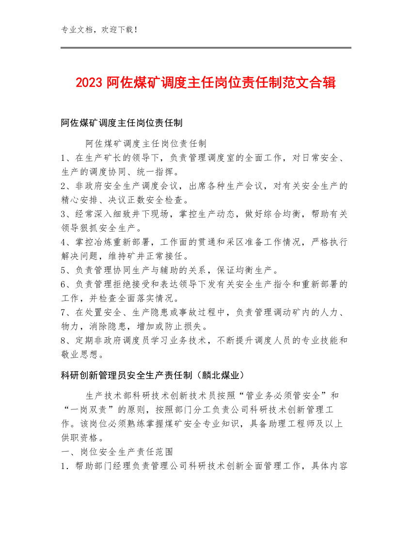 2023阿佐煤矿调度主任岗位责任制范文合辑