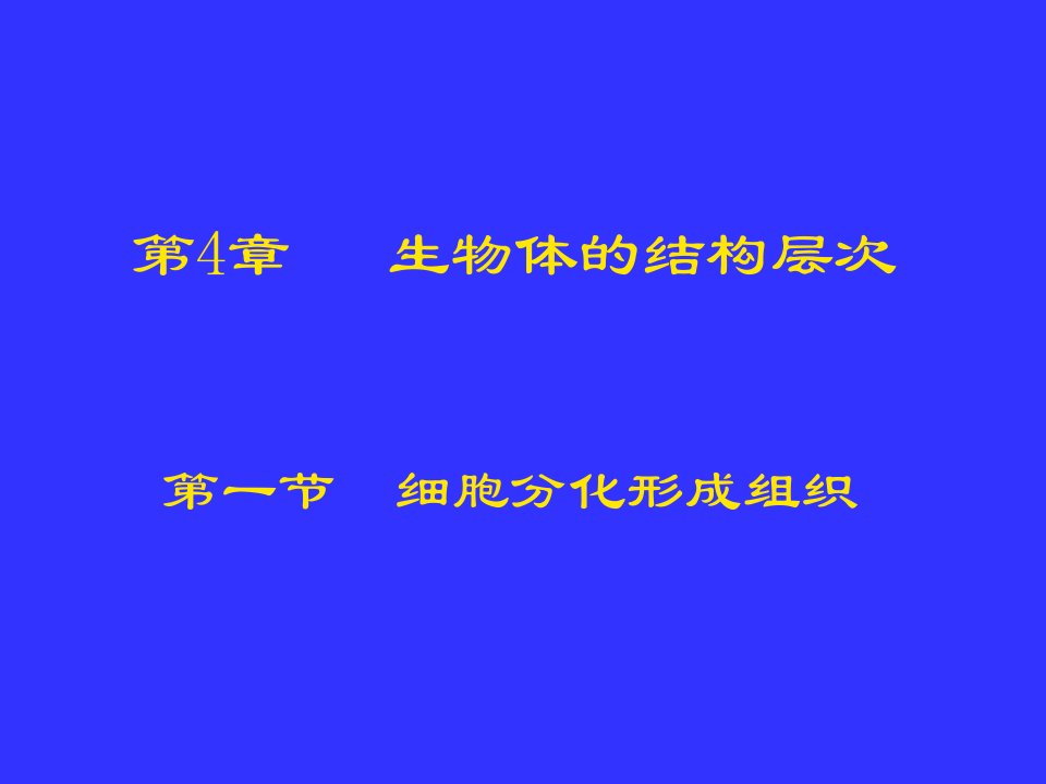 41细胞分化形成组织1