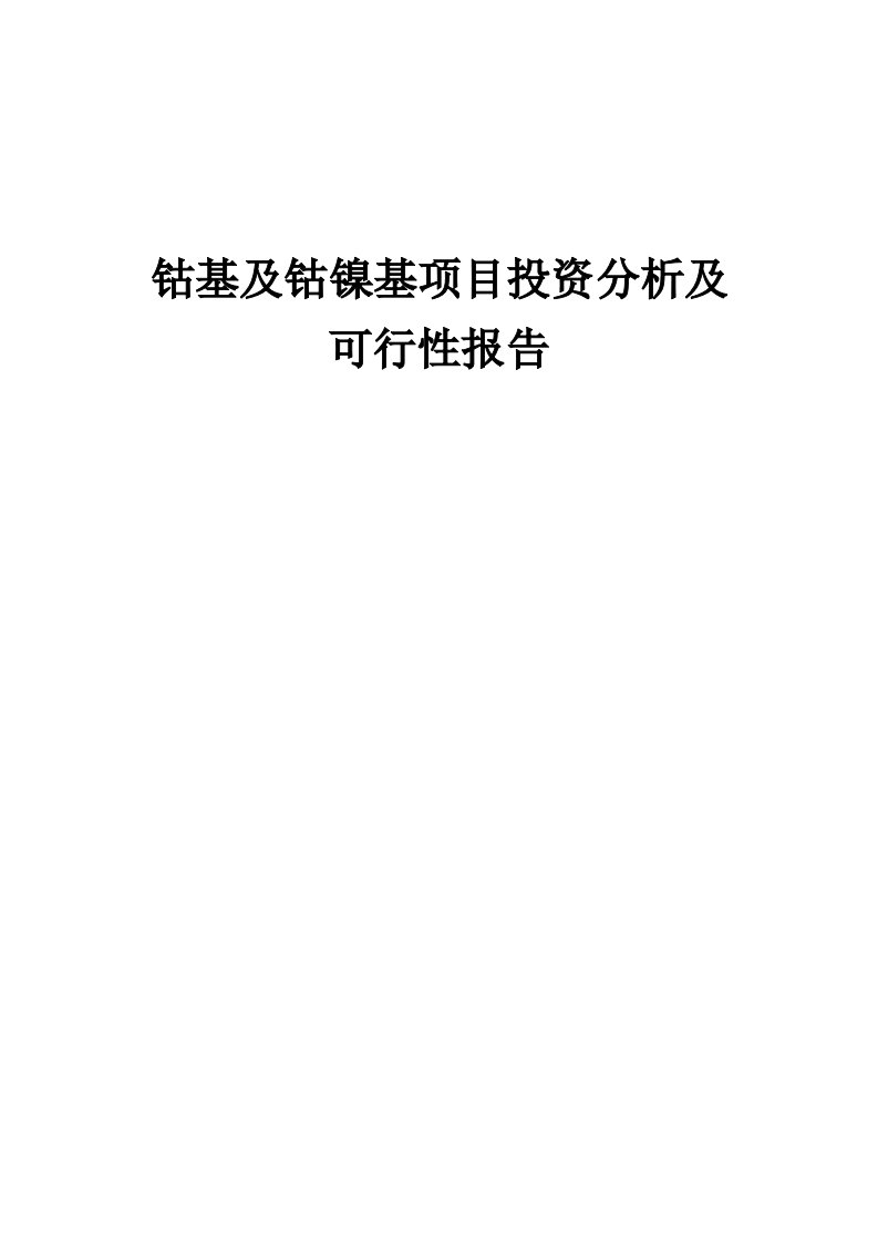 2024年钴基及钴镍基项目投资分析及可行性报告