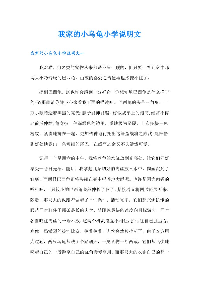 我家的小乌龟小学说明文