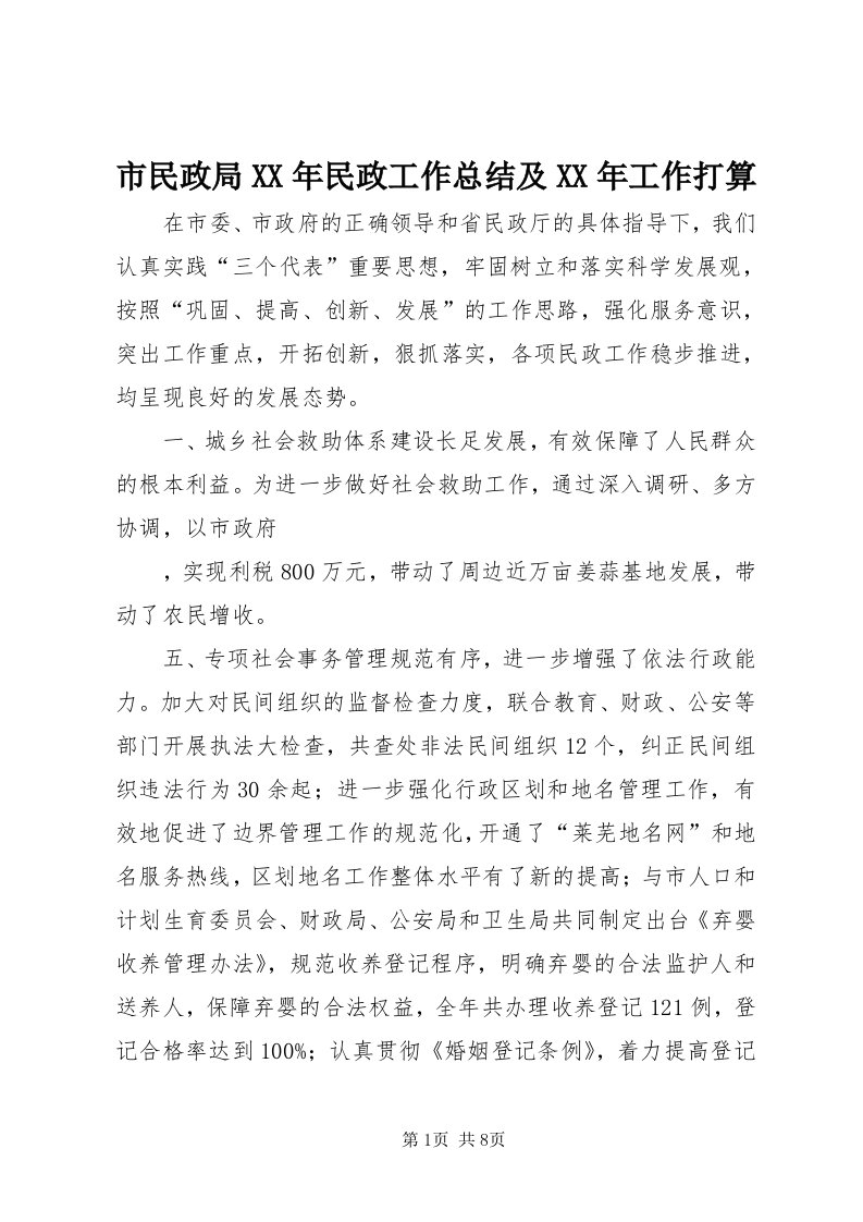 5市民政局某年民政工作总结及某年工作打算