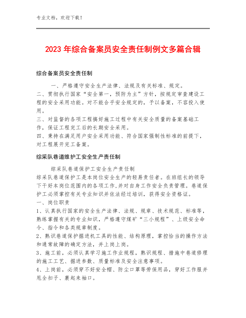 2023年综合备案员安全责任制例文多篇合辑