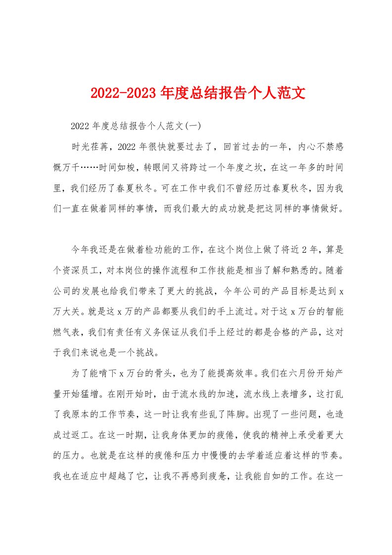 2022-2023年度总结报告个人范文