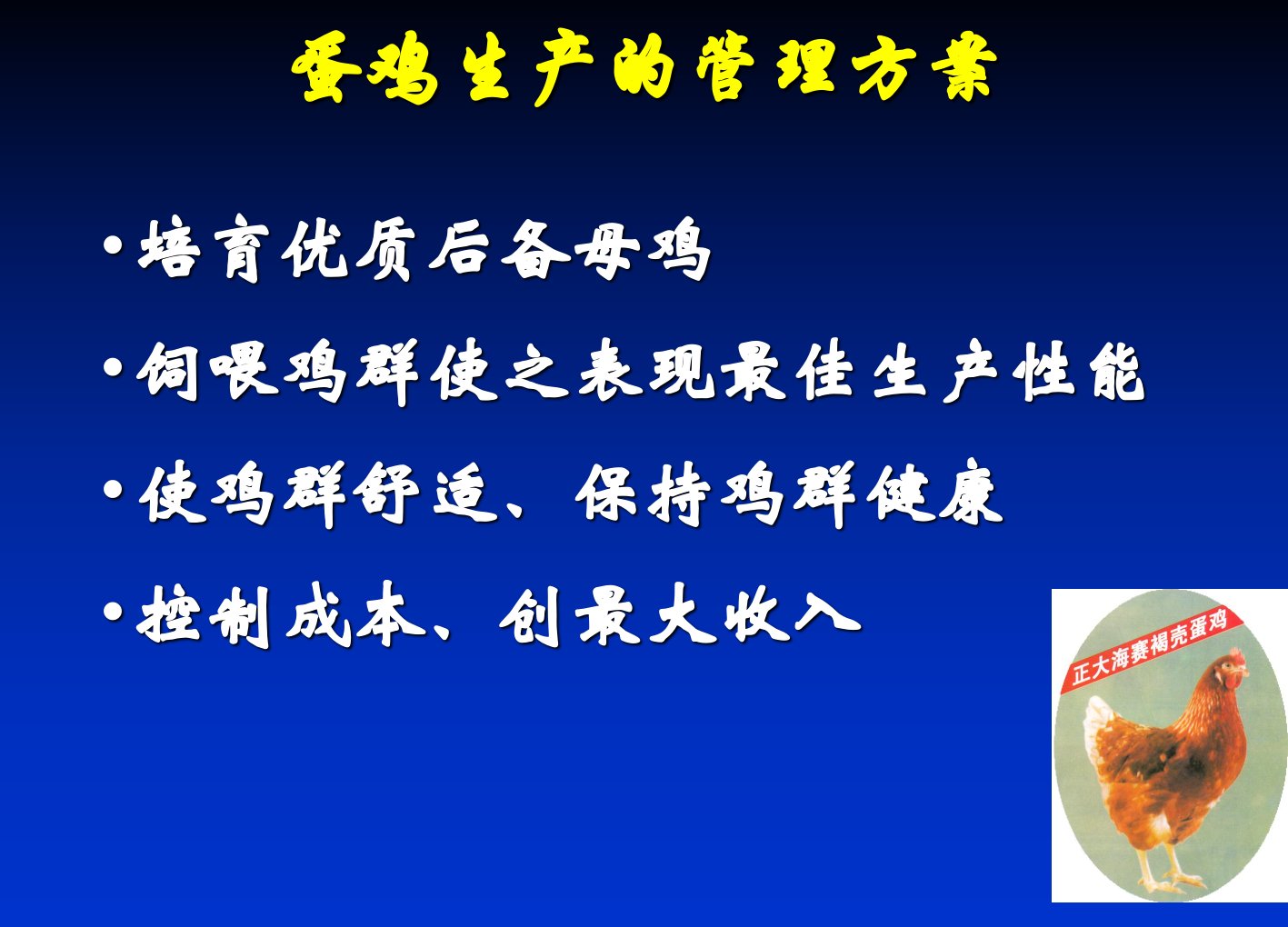 蛋鸡饲养管理技术PPT讲座