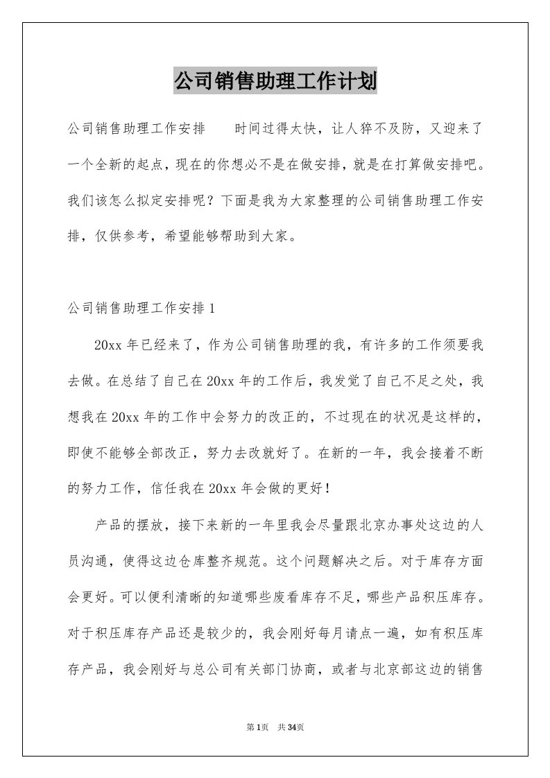 公司销售助理工作计划优质