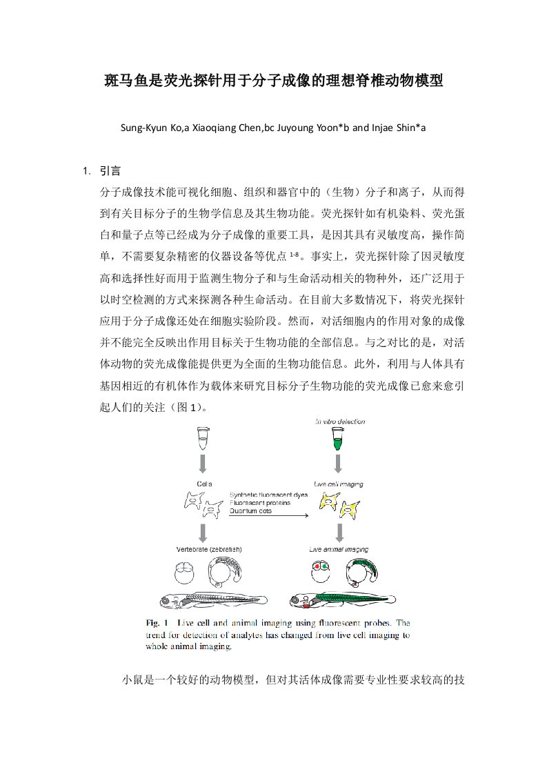 斑马鱼是荧光探针用于生物成像的理想模型