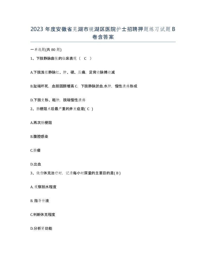 2023年度安徽省芜湖市镜湖区医院护士招聘押题练习试题B卷含答案