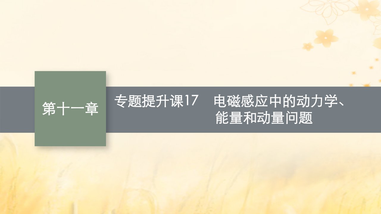 适用于新教材2024版高考物理一轮总复习第11章电磁感应专题提升课17电磁感应中的动力学能量和动量问题课件