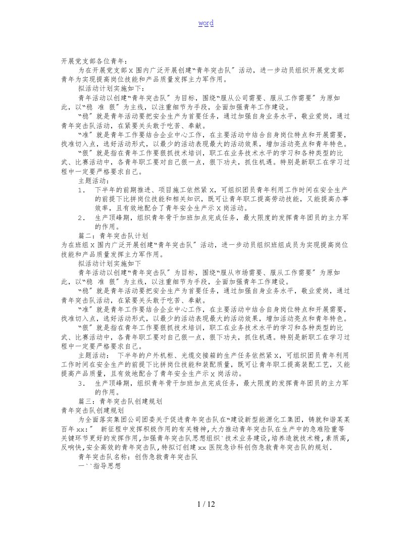 青年突击队工作计划清单(共10篇)