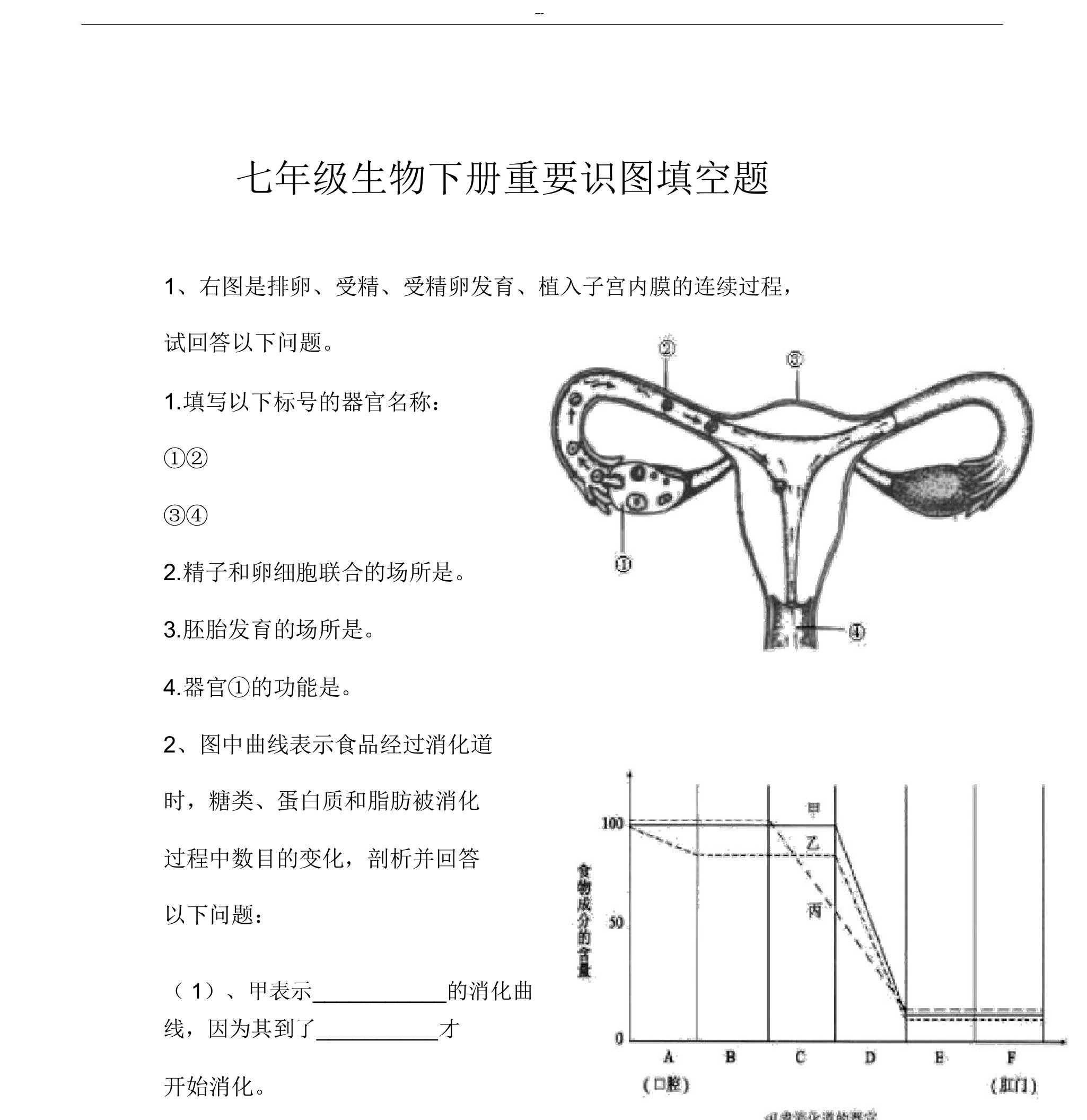 七年级生物下册重要识图填空题2