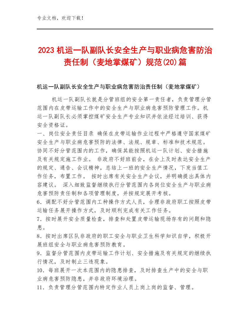 2023机运一队副队长安全生产与职业病危害防治责任制（麦地掌煤矿）规范(20)篇