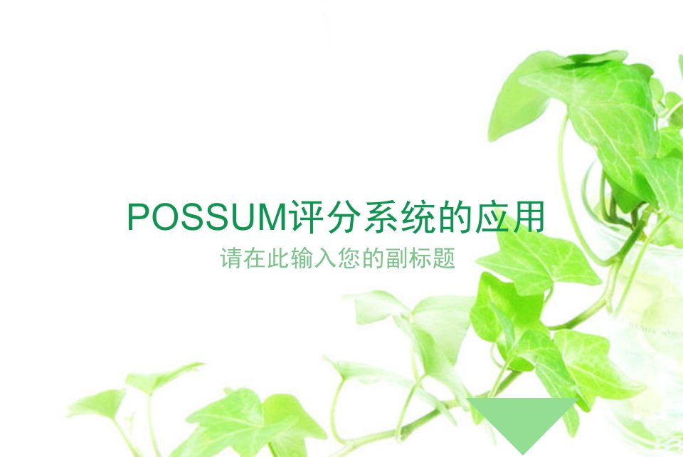 possum评分系统的应用