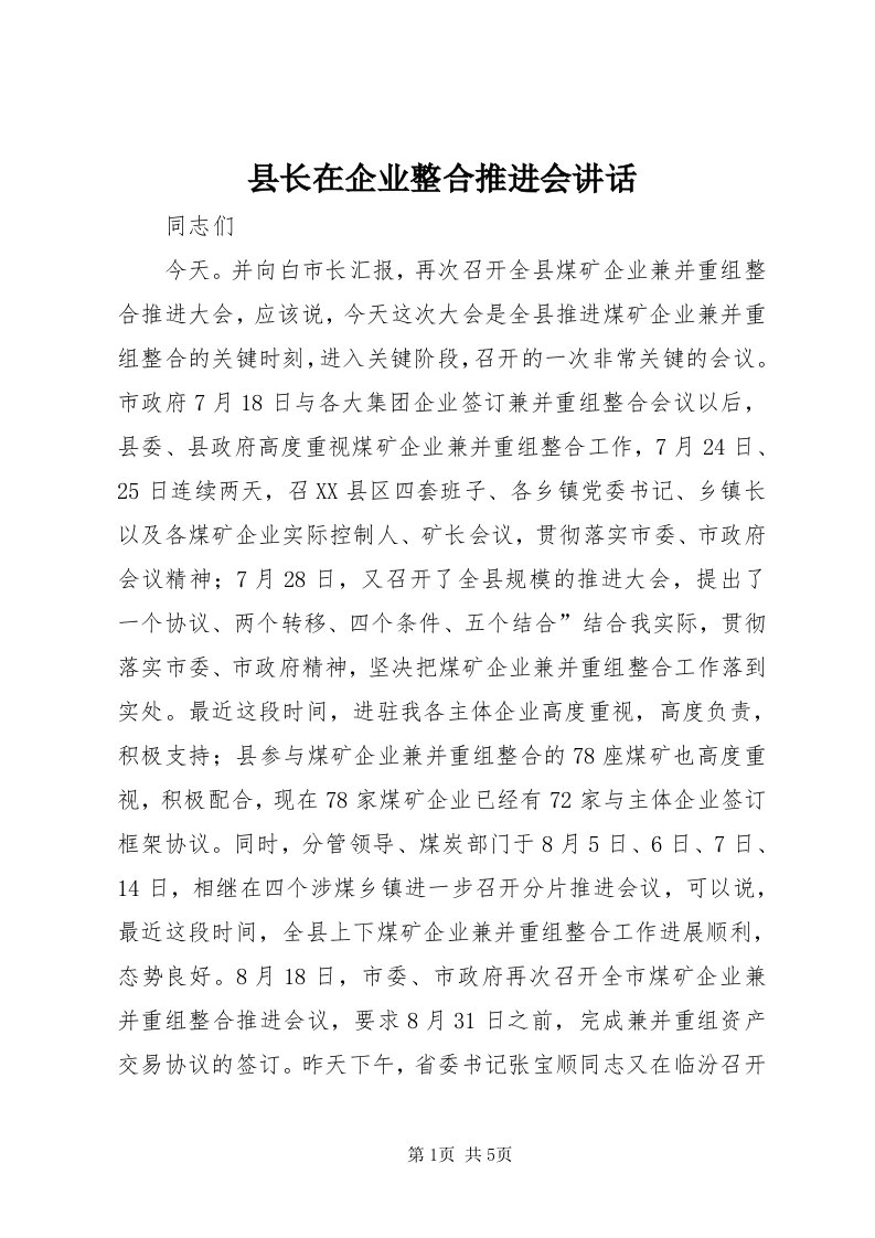 6县长在企业整合推进会致辞