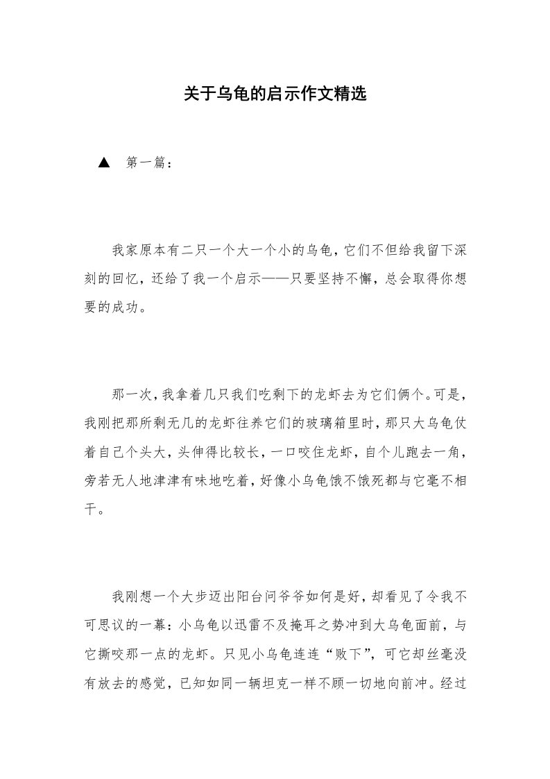 关于乌龟的启示作文精选