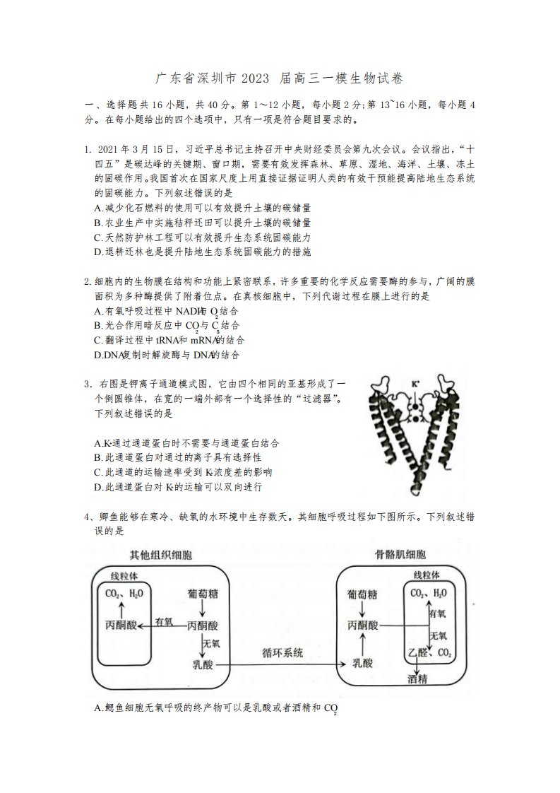 广东省深圳市2023届高三一模生物试卷(含答案)