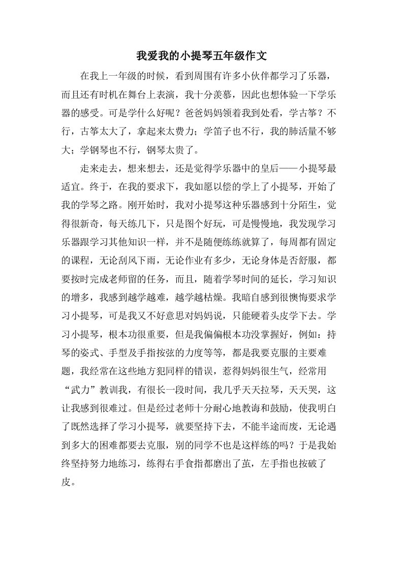 我爱我的小提琴五年级作文