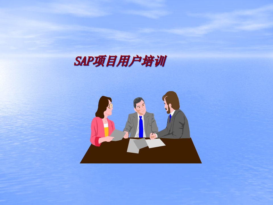 sap项目用户培训