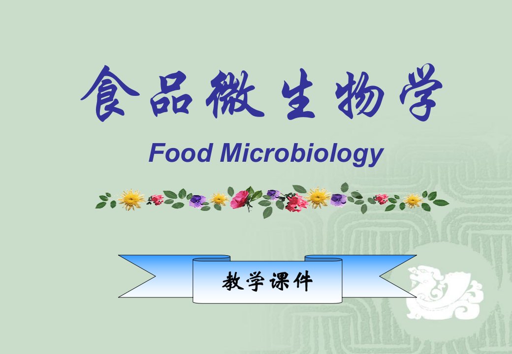 食品微生物学绪论精美