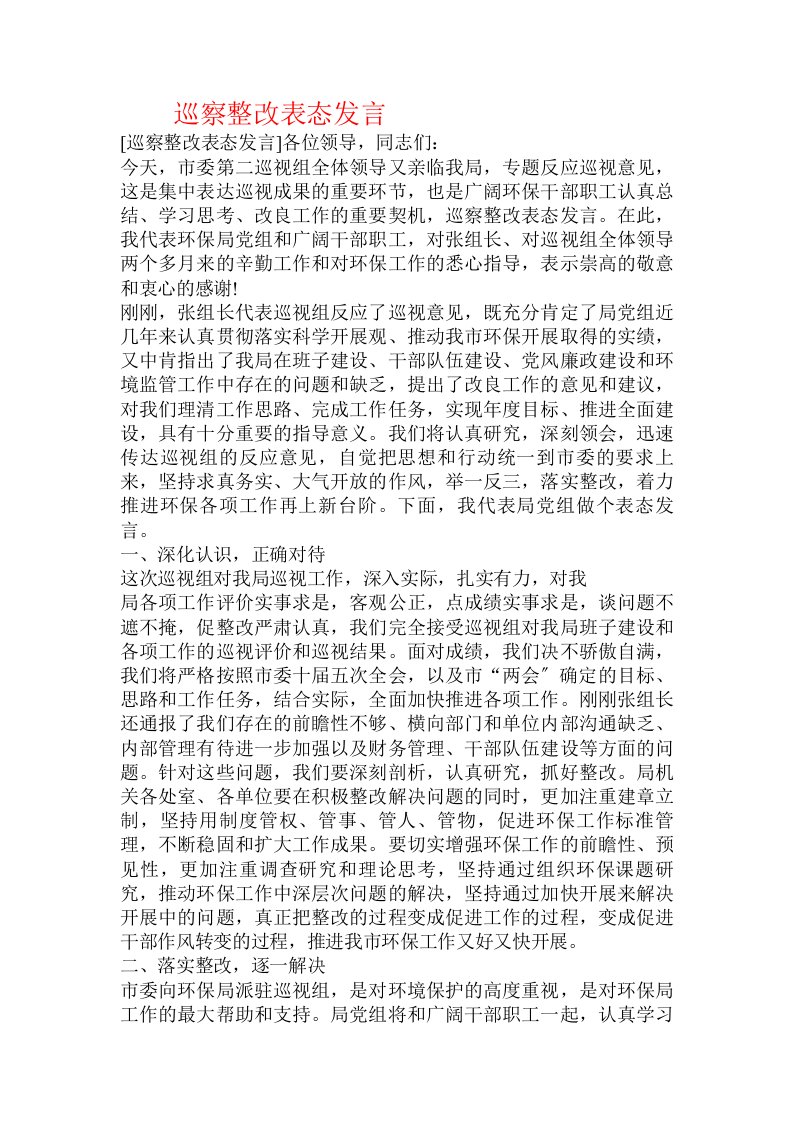 巡察整改表态发言