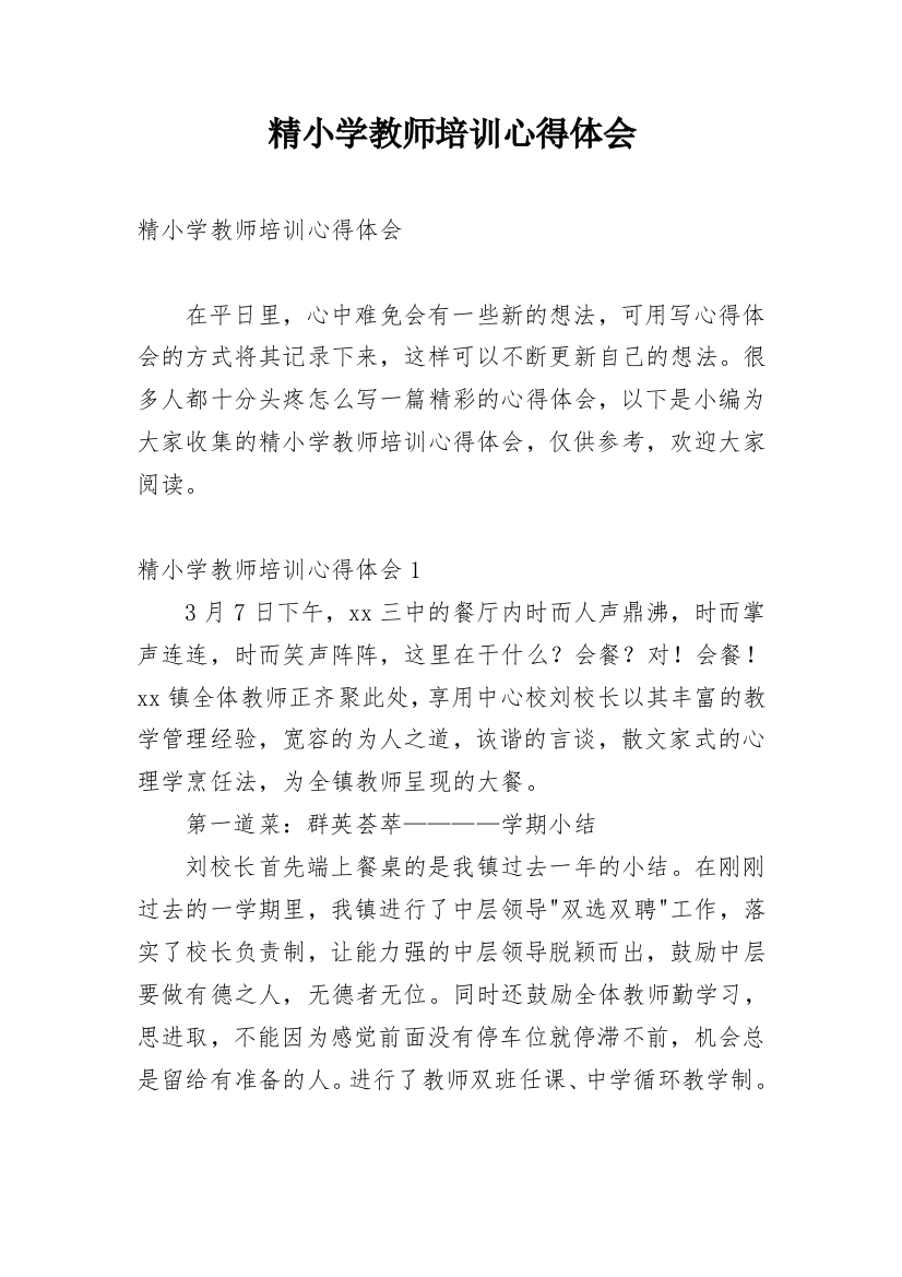 精小学教师培训心得体会