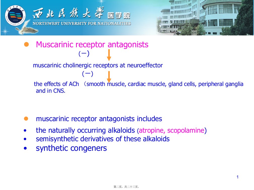 医学专题第8章胆碱受体阻断药IM胆碱受体