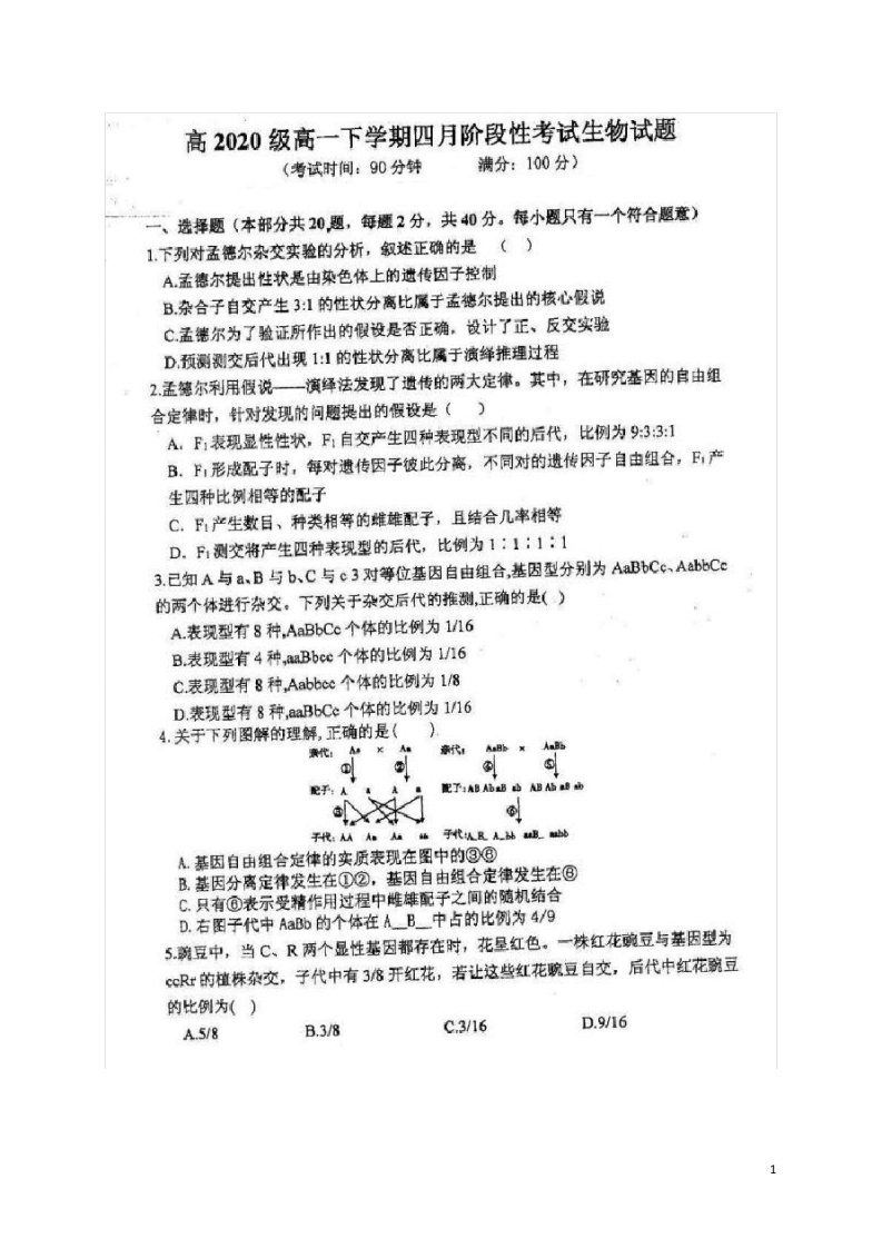 四川省仁寿一中北校区2020