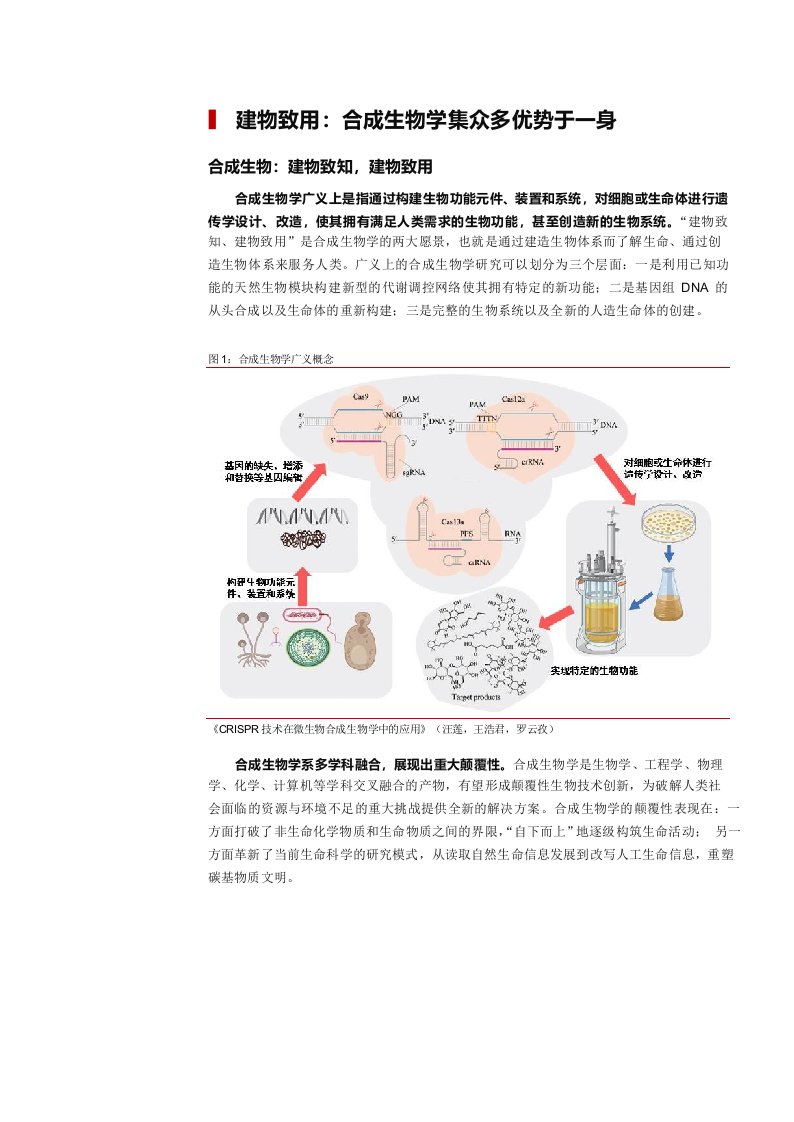 合成生物乘势而起，颠覆传统引领未来