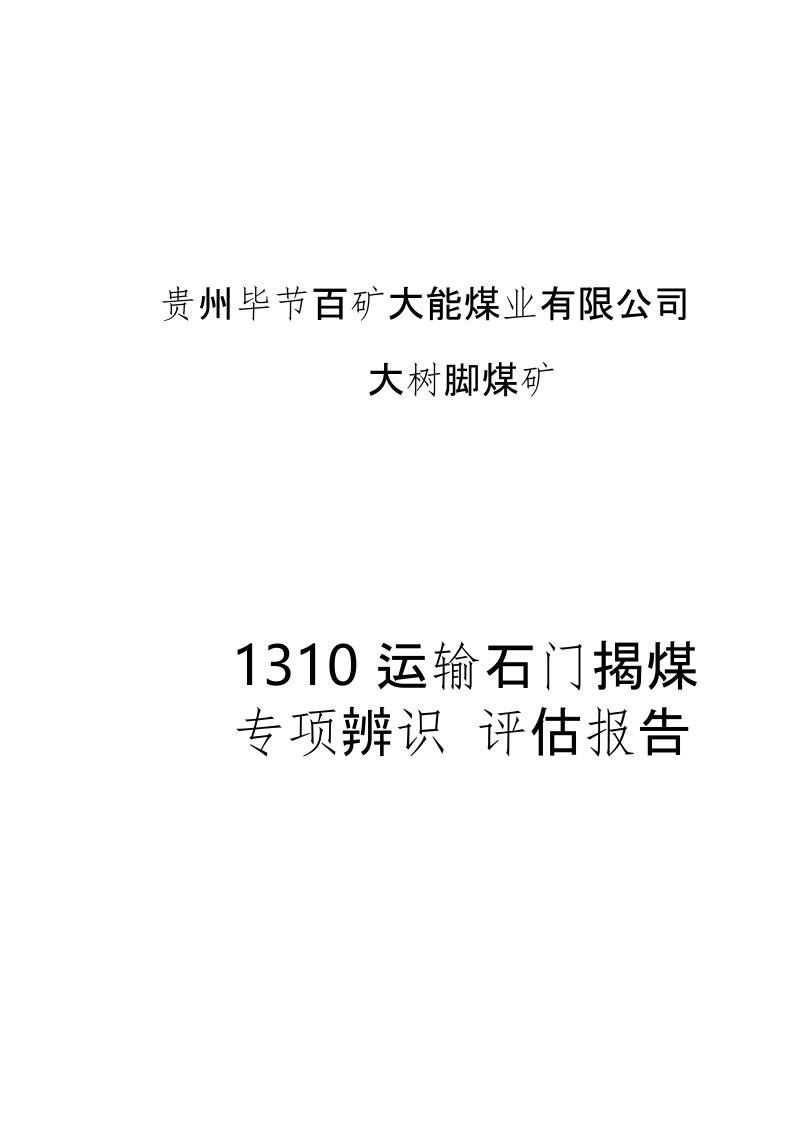 1310运输石门揭煤安全风险专项辨识评估报告