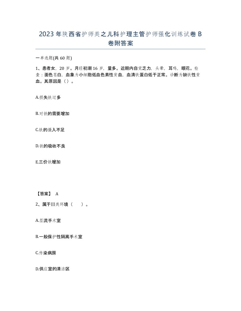 2023年陕西省护师类之儿科护理主管护师强化训练试卷B卷附答案