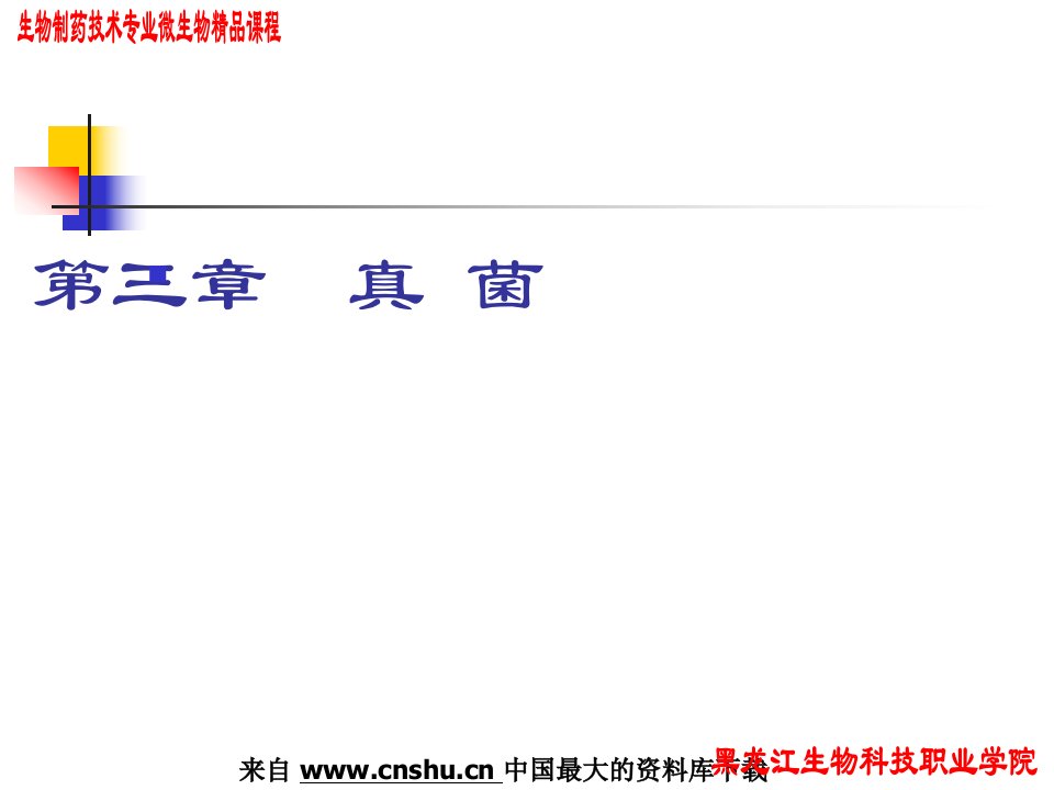 [物理课件]生物制药技术专业微生物精品课程——真菌（PPT