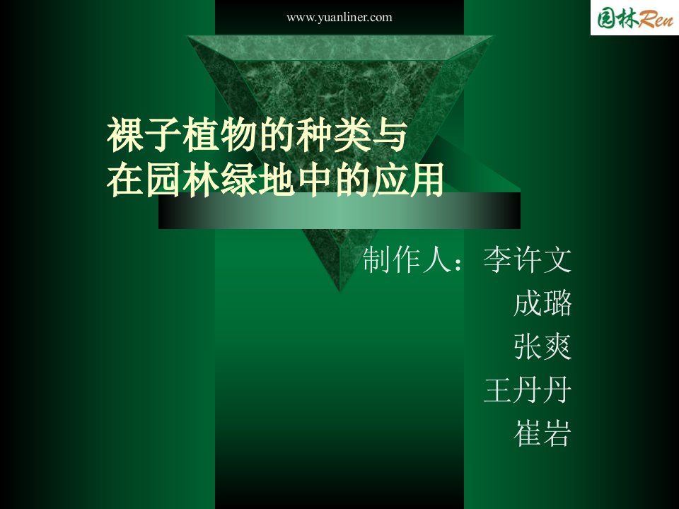 《裸子植物的种类》PPT课件