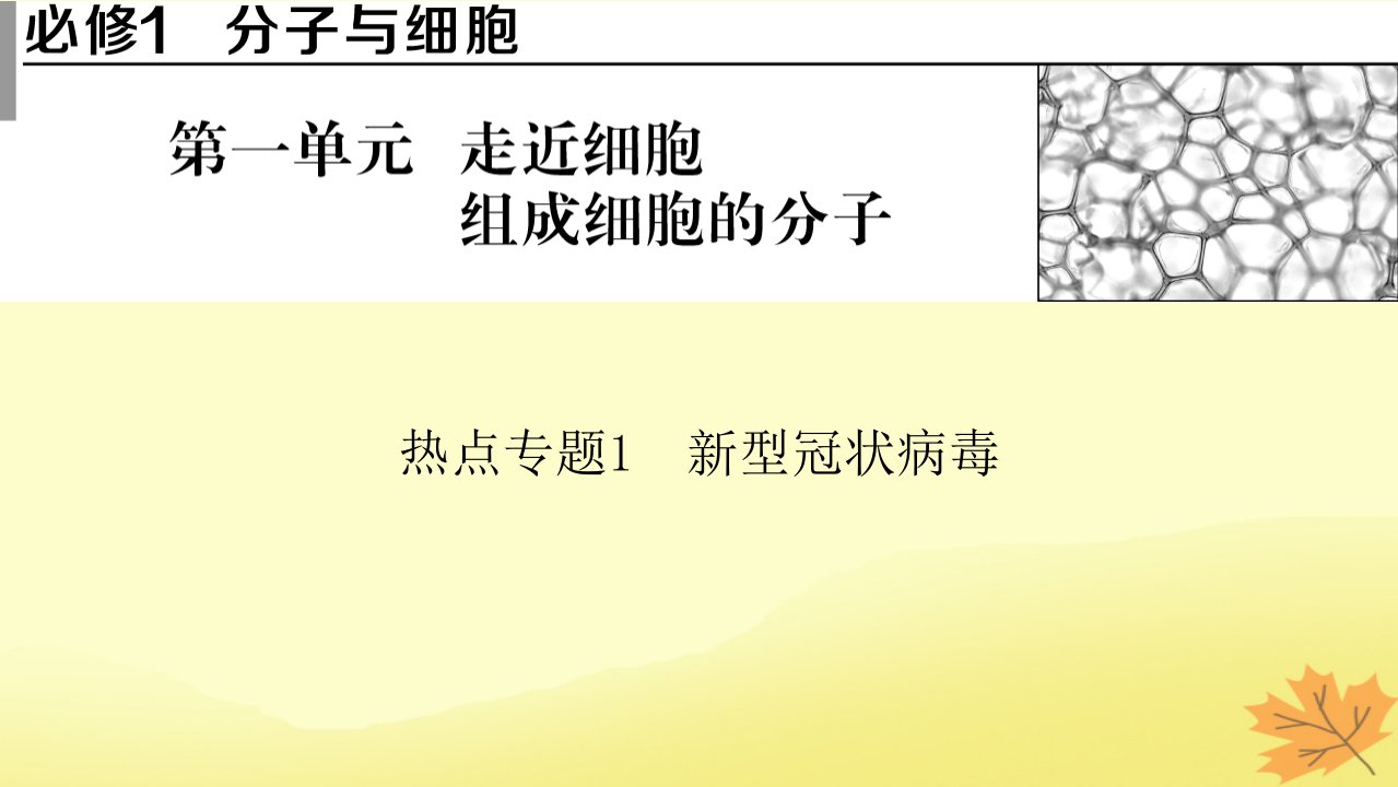 2023版高考生物一轮总复习热点专题1新型冠状簿课件